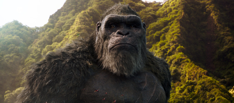 film-godzilla-vs-kong-streaming-film-godzilla-vs-kong-streaming6.jpeg