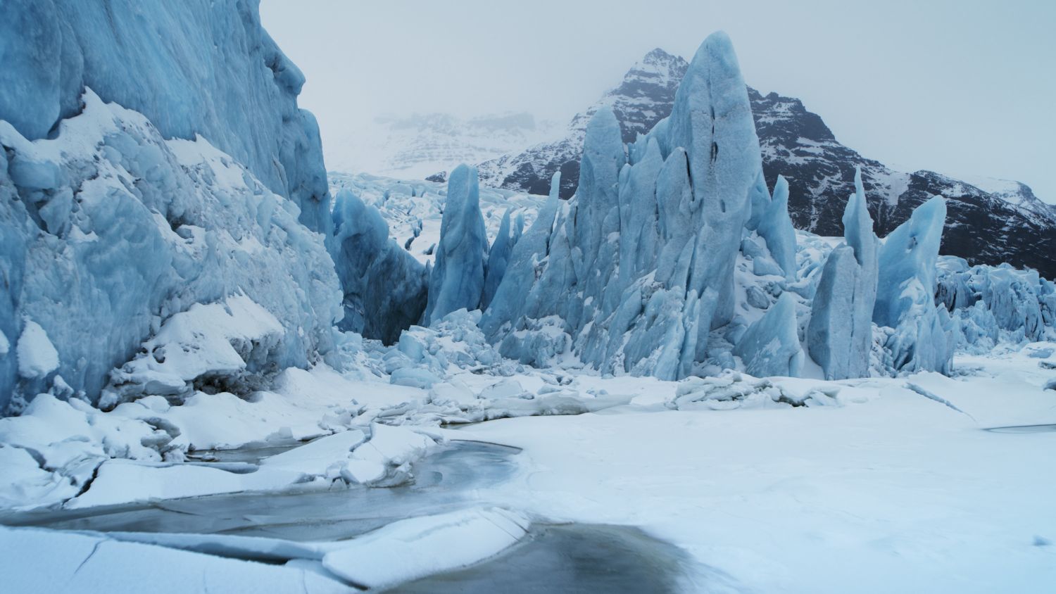 national-geographic--paradisi-inesplorati---immagini-streaming-disney-plus-national-geographic--paradisi-inesplorati---immagini-streaming-disney-plus_(18).jpg