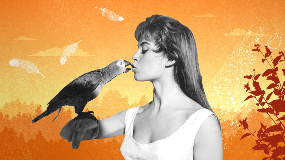 nuovo-film-su-brigitte-bardot-_Brigitte_Bardon,_Eterna_Ribelle,_è_il_documentario_in_prima_visione_(1).png