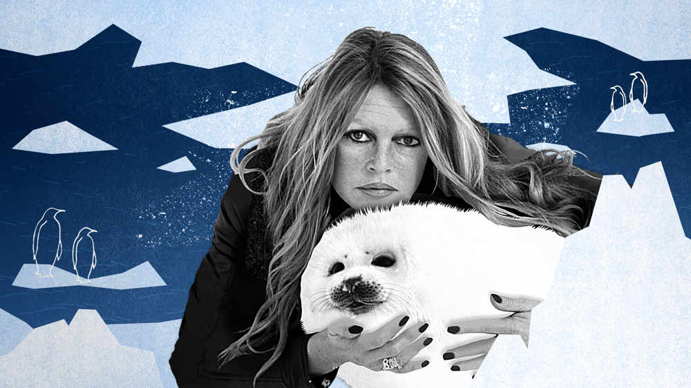 nuovo-film-su-brigitte-bardot-_Brigitte_Bardon,_Eterna_Ribelle,_è_il_documentario_in_prima_visione_(2).png
