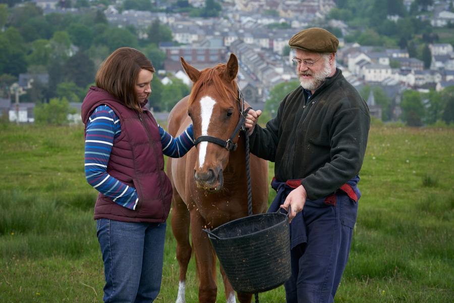 film-dream-horse-Dream-horse-02454.jpg