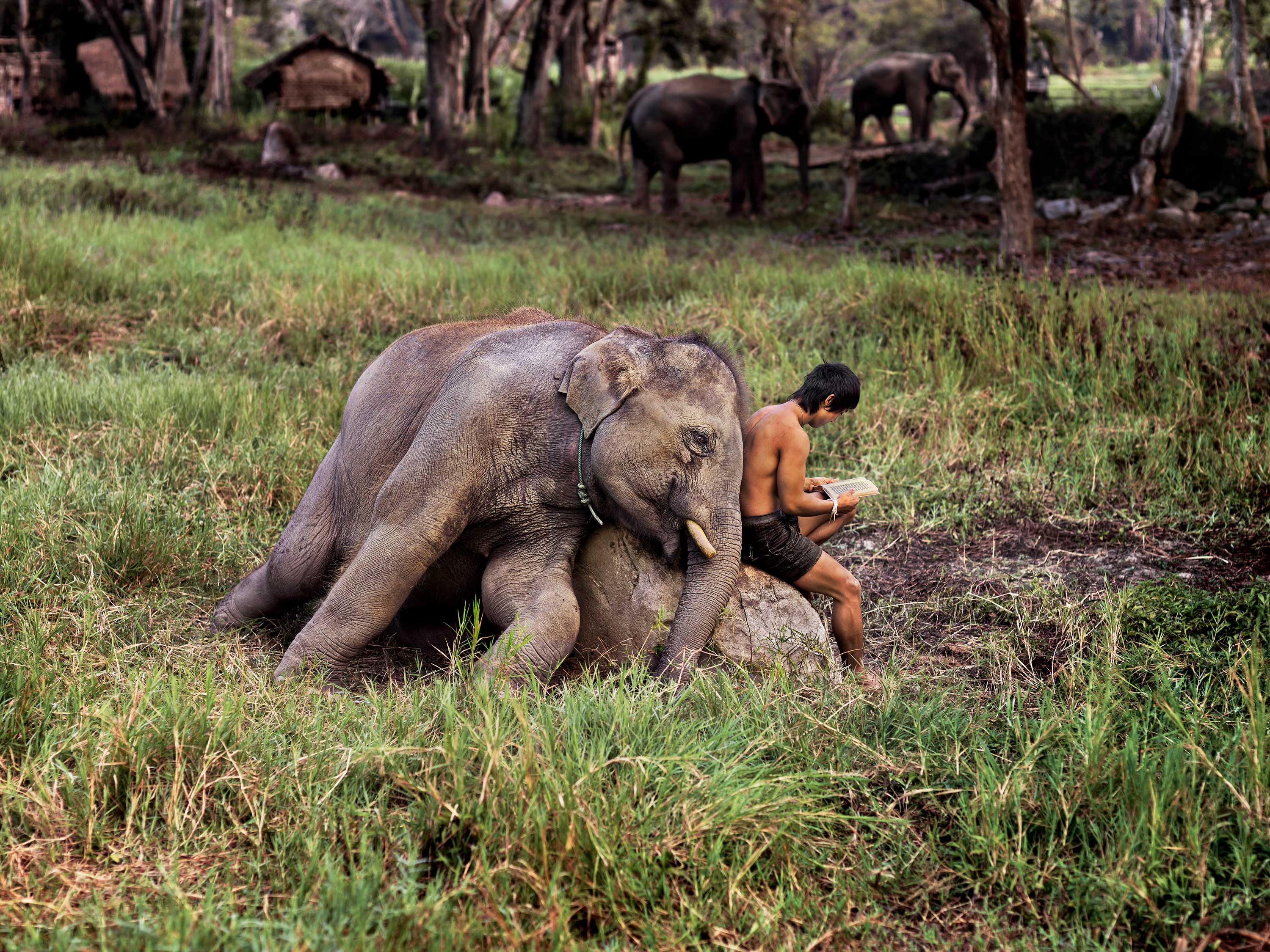 mostra-bari---steve-mccurry--leggere---immagini-_Teatro_Margherita_leggere_mostra_steve_mccurry_(6).jpg