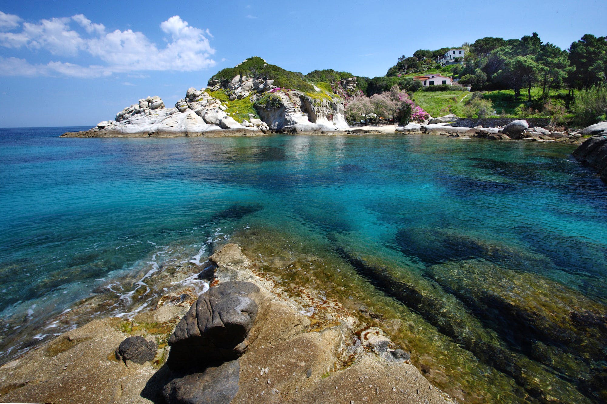 isola-d-elba---immagini-capo-sant-andrea-beach.jpg