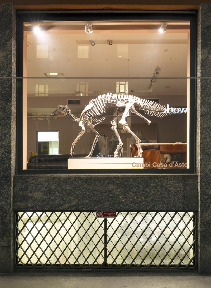 dinosauro-all-asta---immagini-Henry_Vetrina.jpg