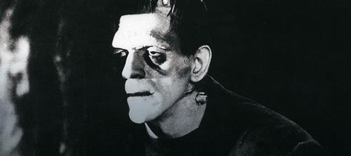 Frankenstein libri