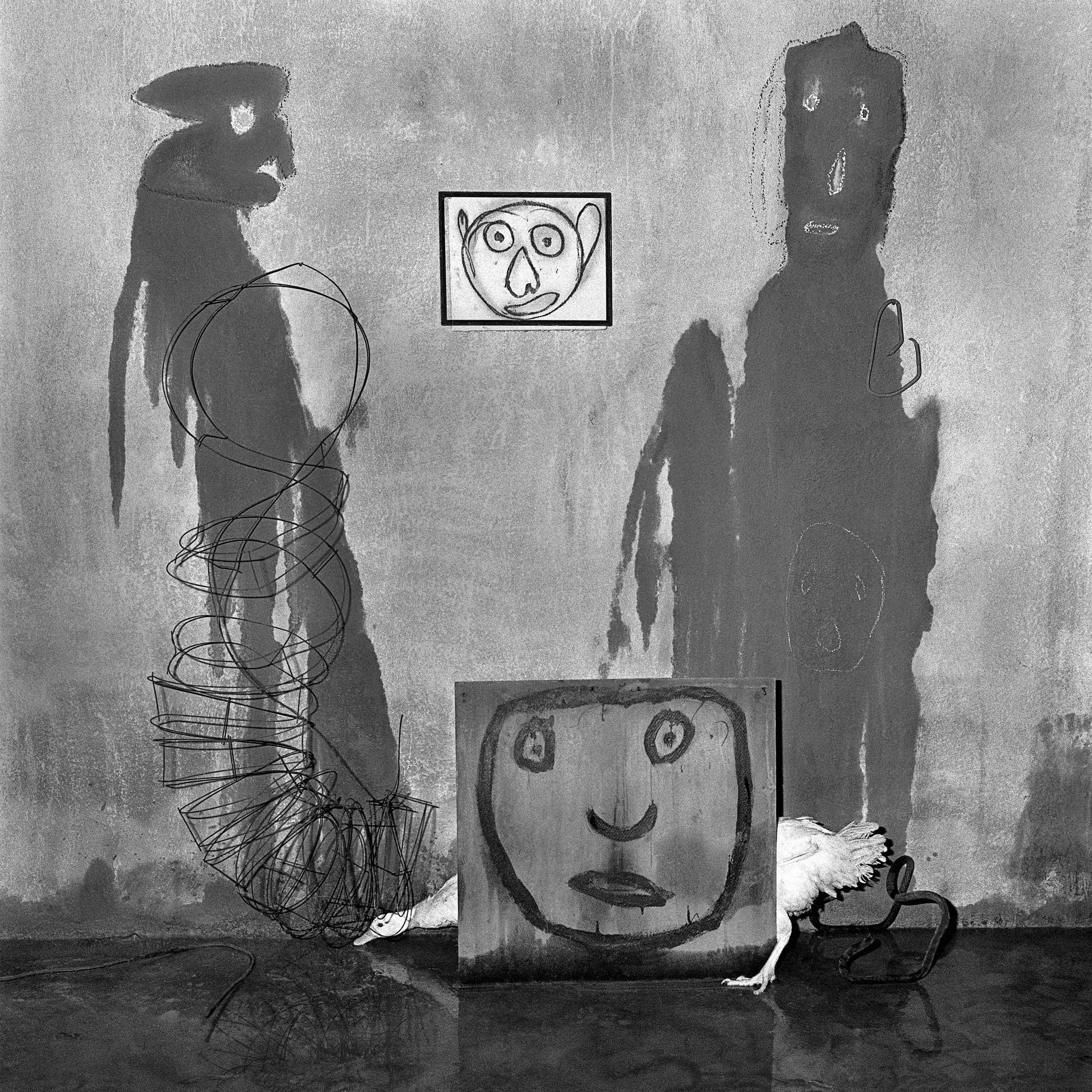 mostra-fotografica-ancona---senigallia--roger-ballen.-the-place-of-the-upside-down---immagini-mostra-fotografica-ancona---senigallia--roger-ballen_(1).jpg