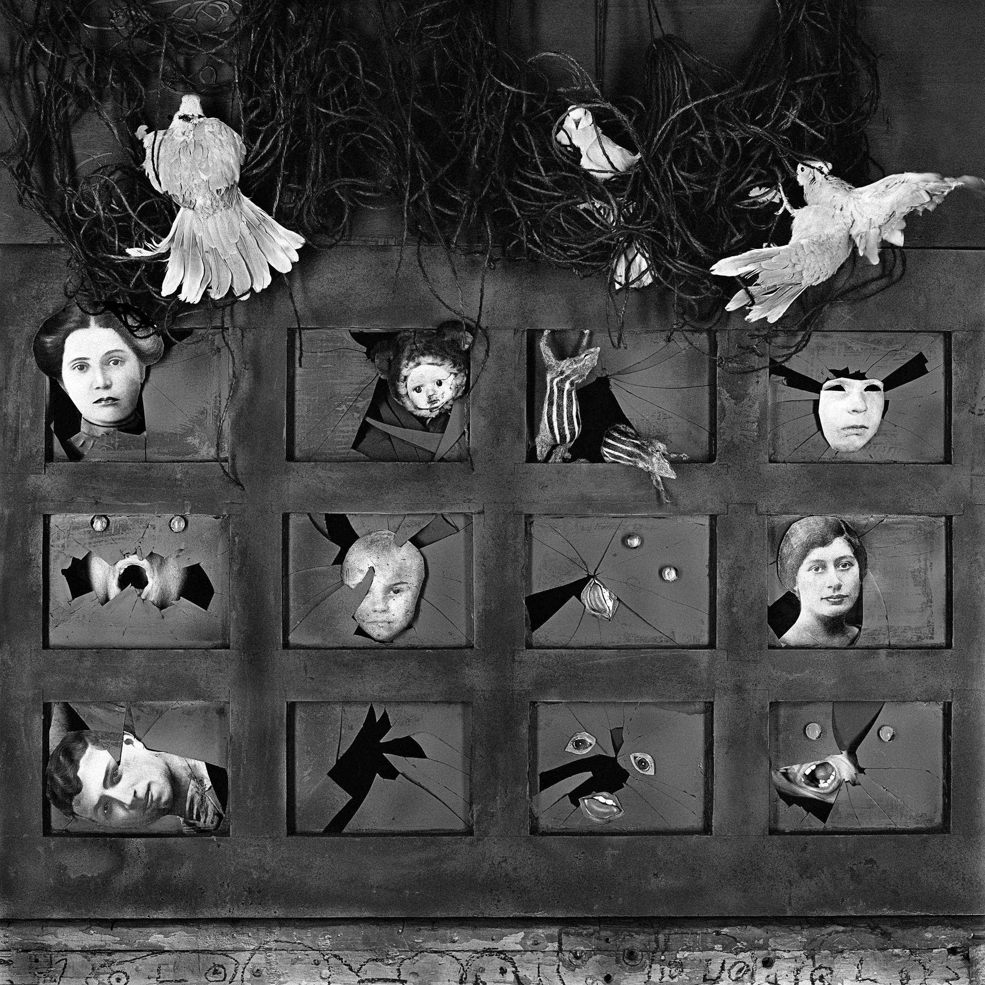 mostra-fotografica-ancona---senigallia--roger-ballen.-the-place-of-the-upside-down---immagini-mostra-fotografica-ancona---senigallia--roger-ballen_(6).jpg