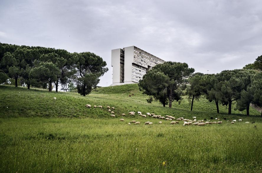 Mostra Roma - Il palazzo dei destini incrociati -  immagini