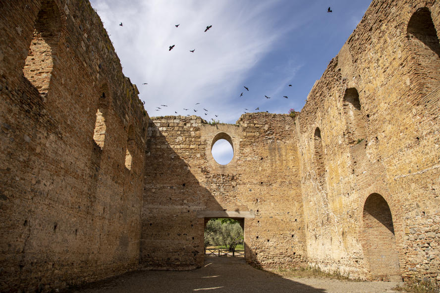 mostra-reggio-calabria---bronzi-di-riace----immagini-Parco_arch._Scolacium_FedericoNeri7646.jpg