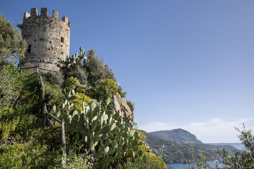 mostra-reggio-calabria---bronzi-di-riace----immagini-Parco_arch_Tauriani_FedericoNeri7301.jpg