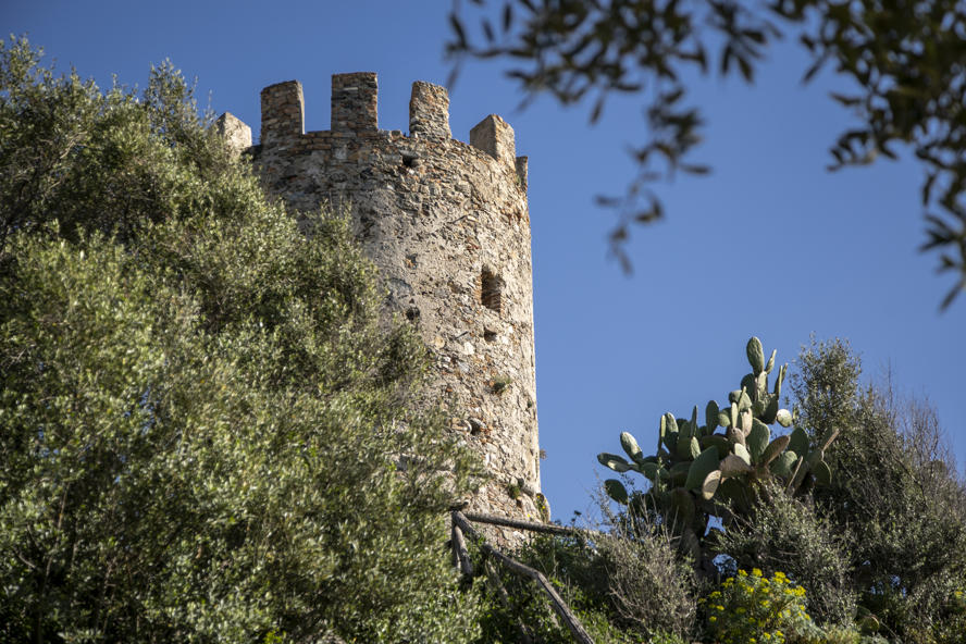 mostra-reggio-calabria---bronzi-di-riace----immagini-Parco_arch_Tauriani_FedericoNeri7305.jpg