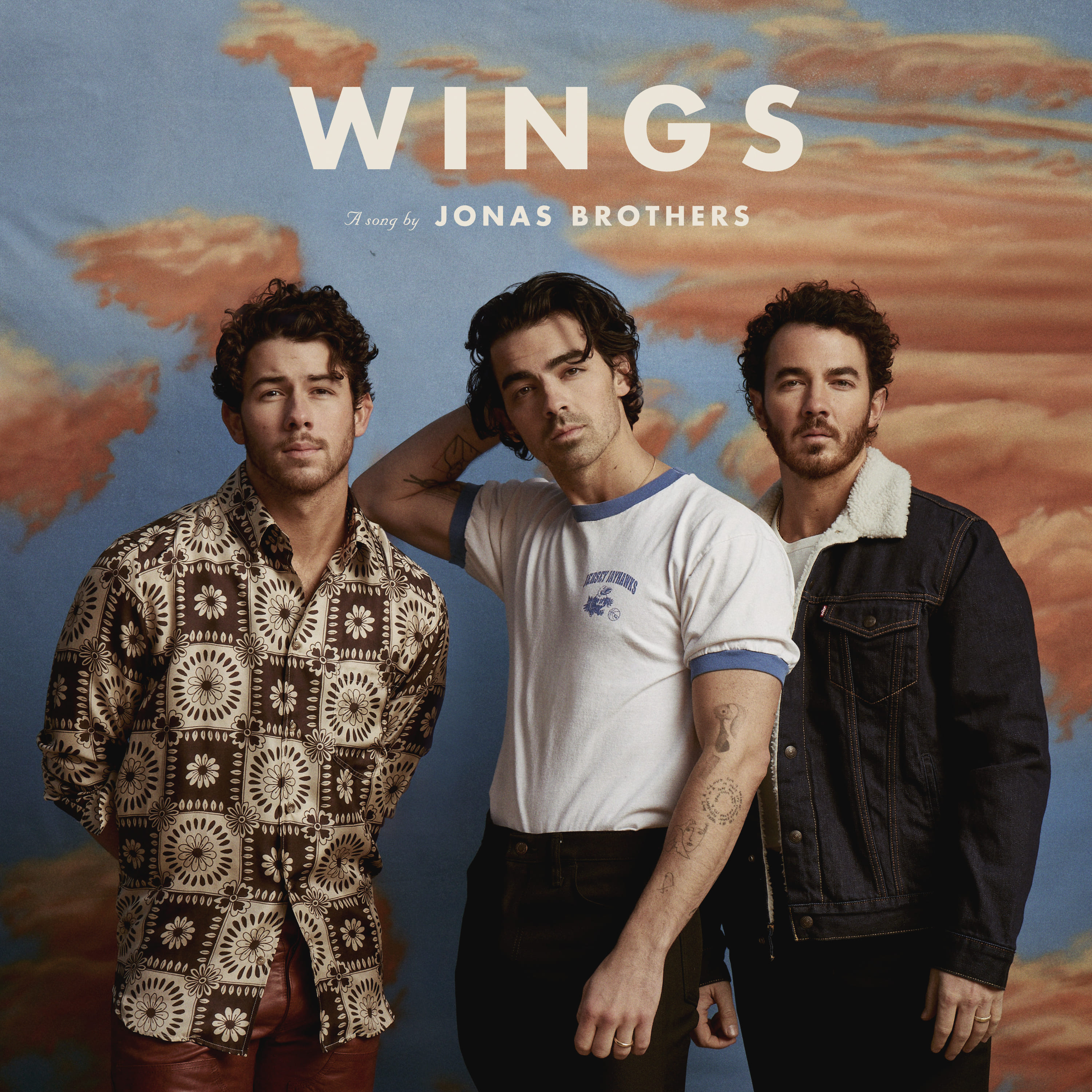 jonas-brothers-album-e-tour---immagini-JonasBrothers-Wings-FIN.jpg