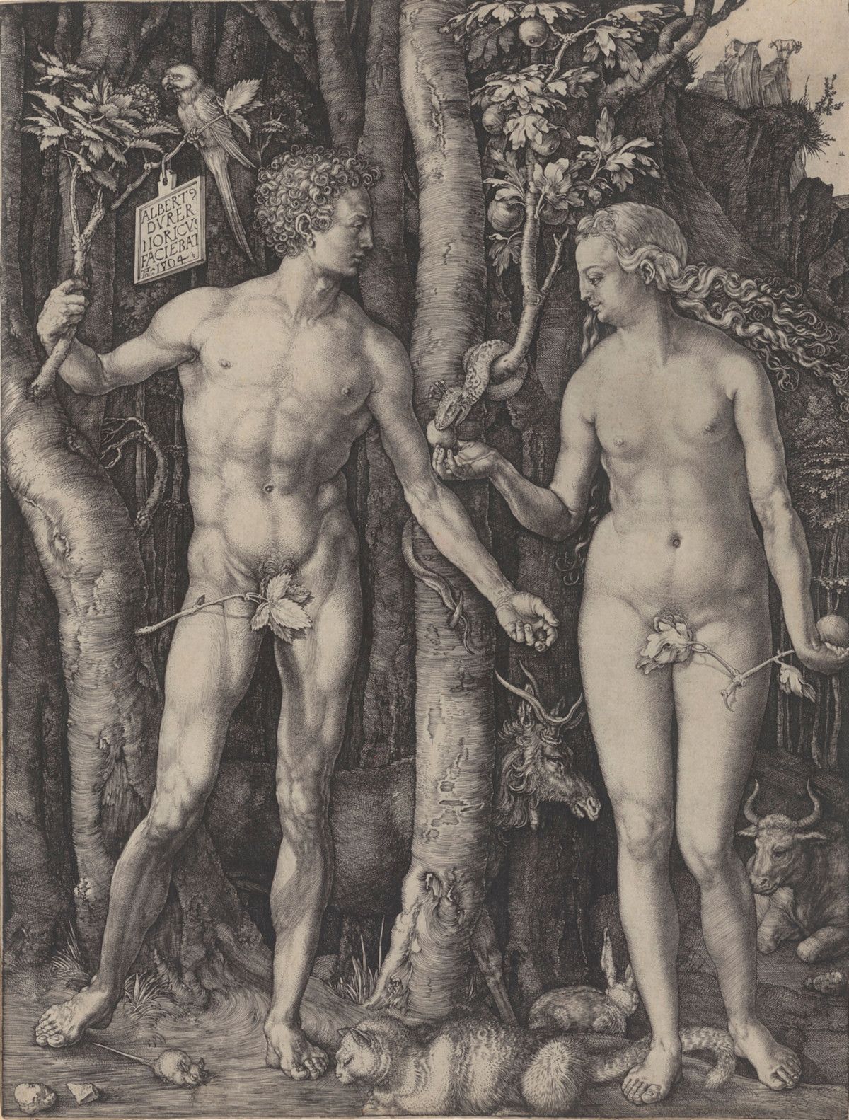 Albrecht Dürer Adam und Eva ( Adamo ed Eva ) 1504