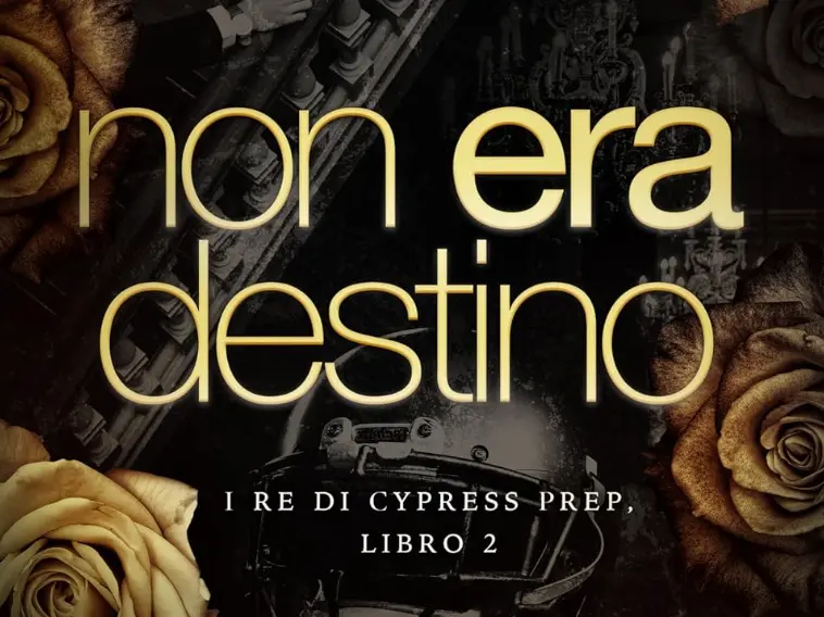 Libro thriller Non era destino: coraggio e vendetta per la coppia Jonas e Thorne