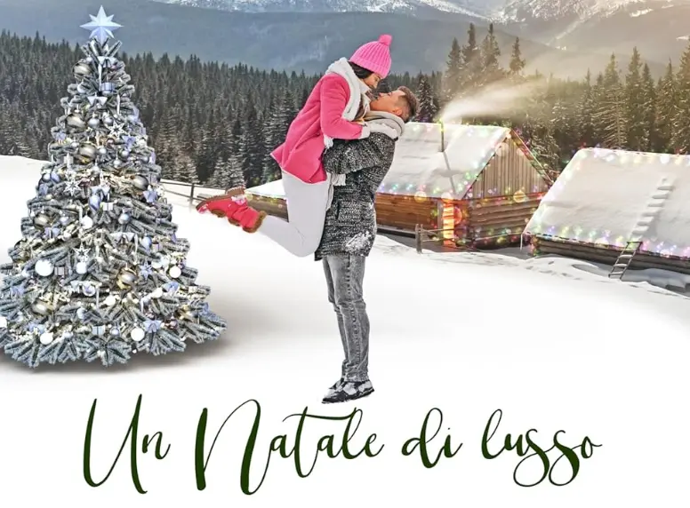 Libro romanzo d’amore Un Natale di lusso: una nuova avventura per Susan Hatler