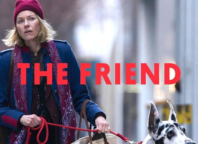 Film drama The Friend, la scrittrice e il cane con Naomi Watt e Bill Murray