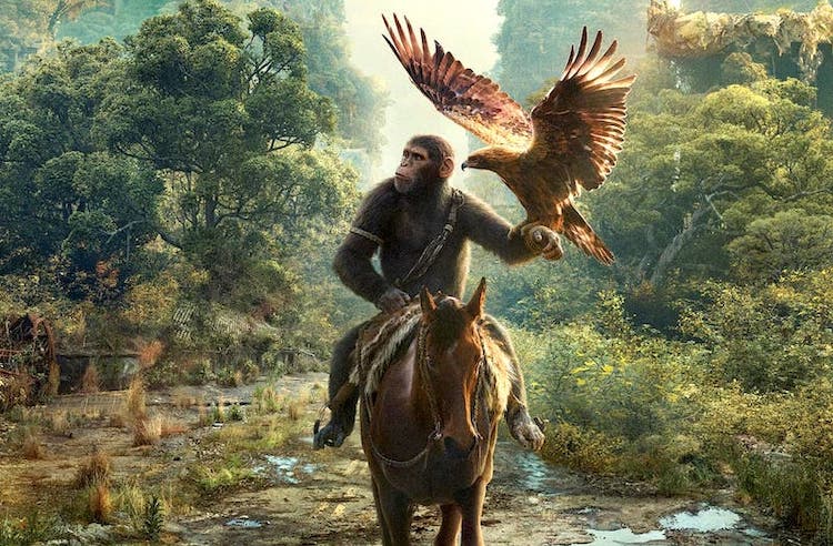 FiIm Kingdom of the Planet of the Apes 2, le novità sul sequel