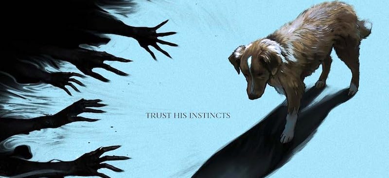Film horror Good Boy, forze malvagie percepite da un cane