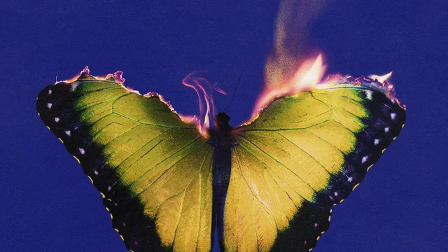 Love is Like, il nuovo album dei Maroon 5