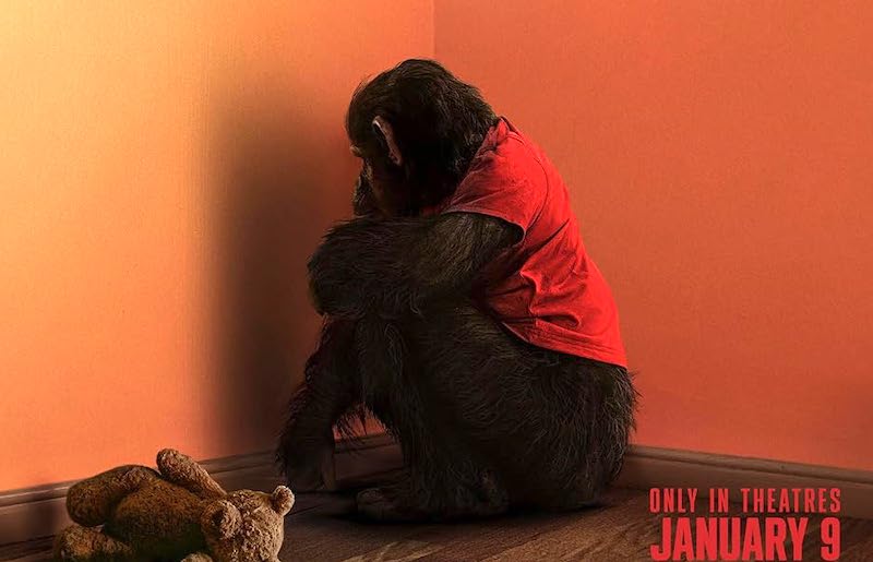 Film horror Primate, scimpanzé assassino con Jessica Alexander e Johnny Sequoyah